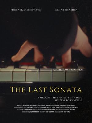 The Last Sonata