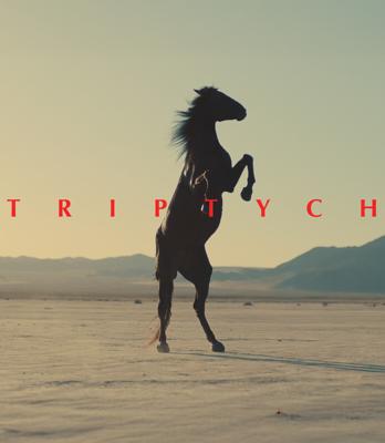 Triptych - Miss Velvet